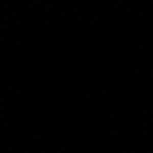 Meet your Posher, Elodia